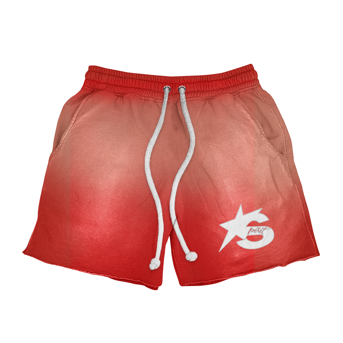 Distressed Logo Shorts